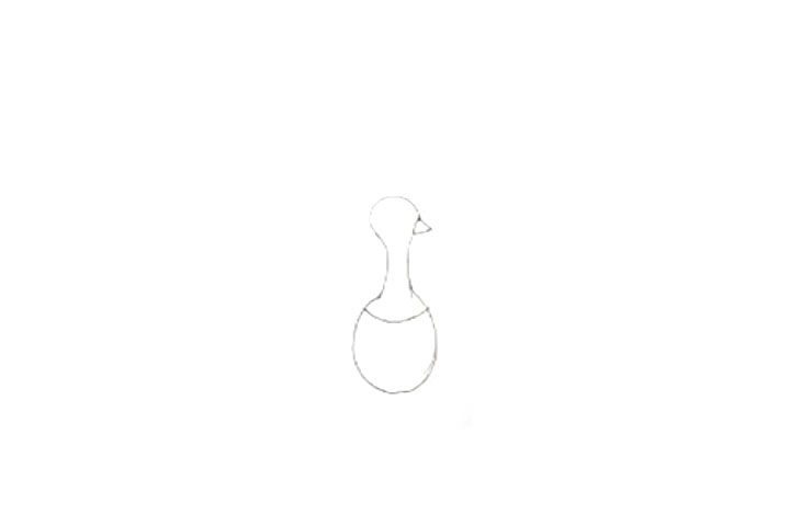 孔雀开屏怎么画