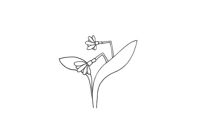 水仙花简笔画画法步骤