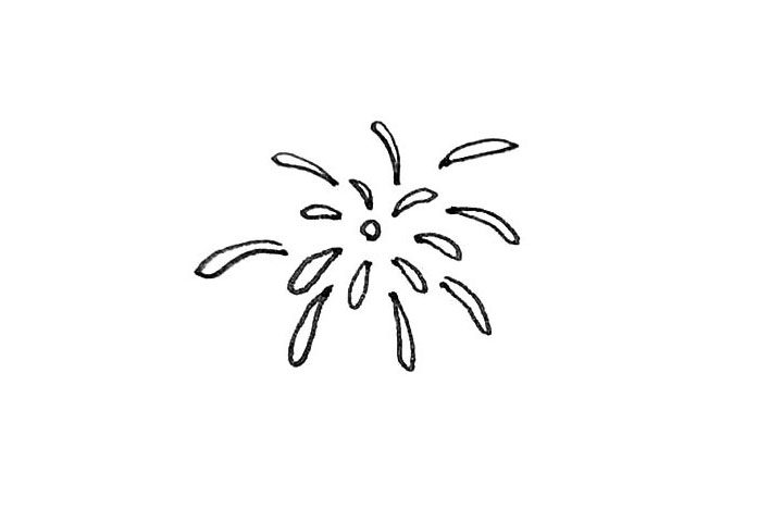 礼花简笔画画法步骤