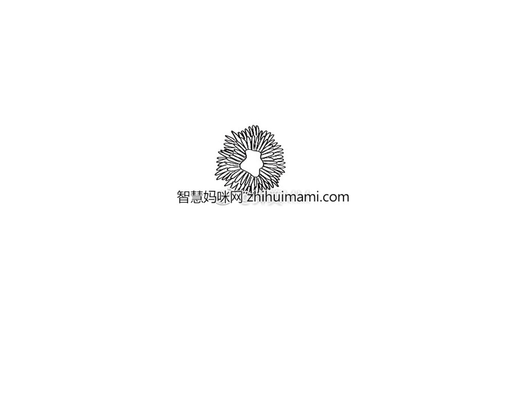 一朵漂亮的花花简笔画画法步骤